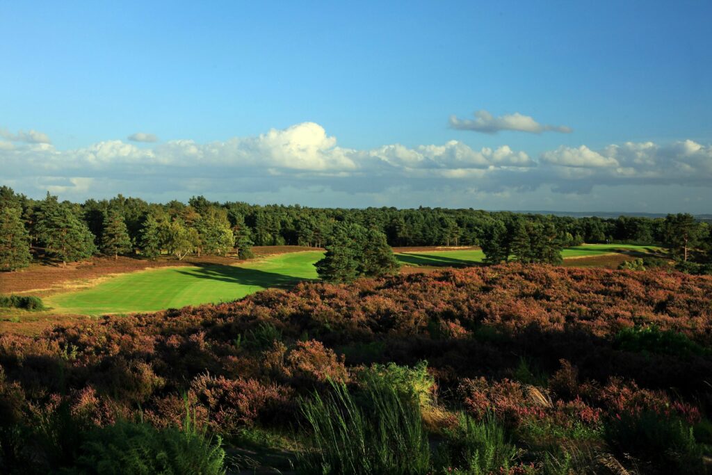 What is a Heathland Golf Course? Halcyon Golf Travel